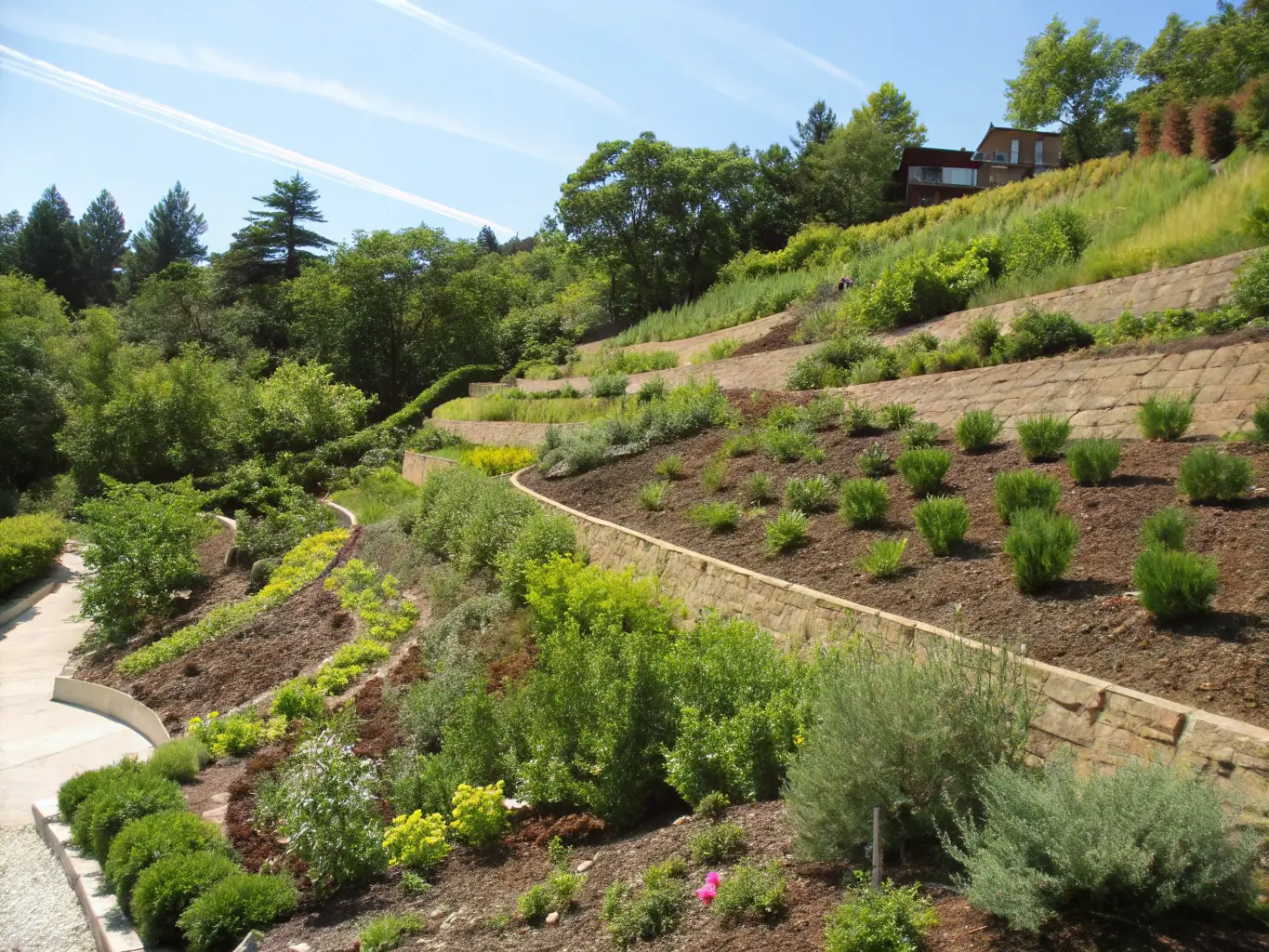 An aerial view of a completed erosion control project by Er-Contech, showing a stabilized landscape with vegetation growth, demonstrating the long-term effectiveness of their solutions.